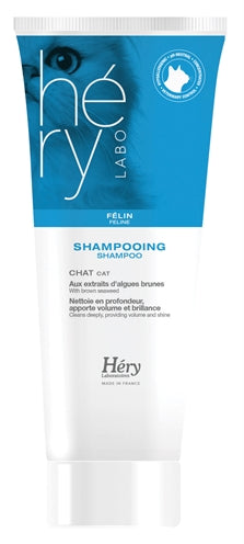 Hery Shampoo Katze